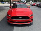 Used 2019 Ford Mustang Premium image 4