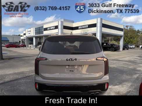 Used 2024 Kia Telluride SX Prestige X-Pro image 9
