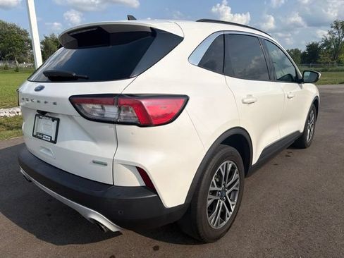Used 2020 Ford Escape SEL FWD image 7
