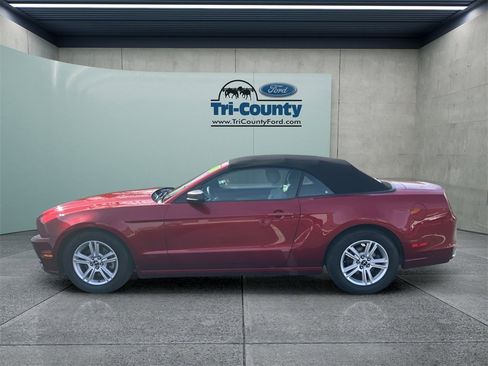Used 2014 Ford Mustang V6 w/ Equipment Group 102A image 4