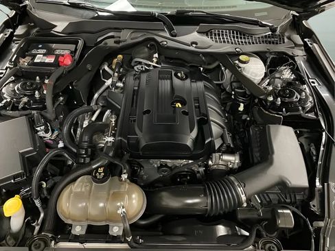 Used 2019 Ford Mustang Convertible w/ Equipment Group 101A RWD image 19