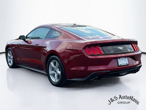 Used 2019 Ford Mustang Coupe RWD image 5