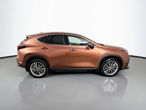 Certified 2025 Lexus NX 350h AWD w/ Cold Area Package image 8