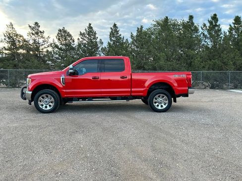Used 2019 Ford F250 XLT w/ XLT Premium Package AWD/4WD image 3