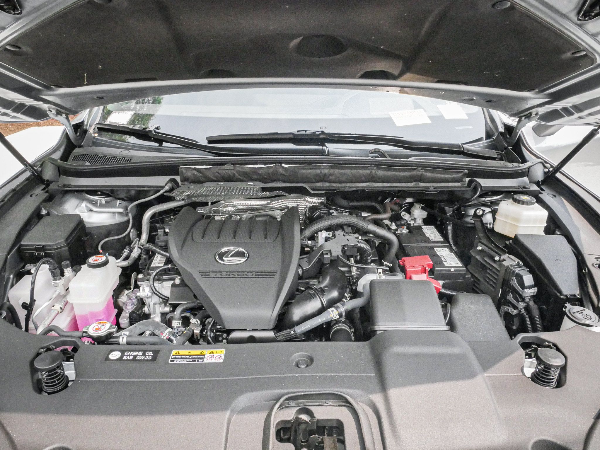 Used 2024 Lexus RX 350 Premium Plus w/ Convenience Package FWD image 34