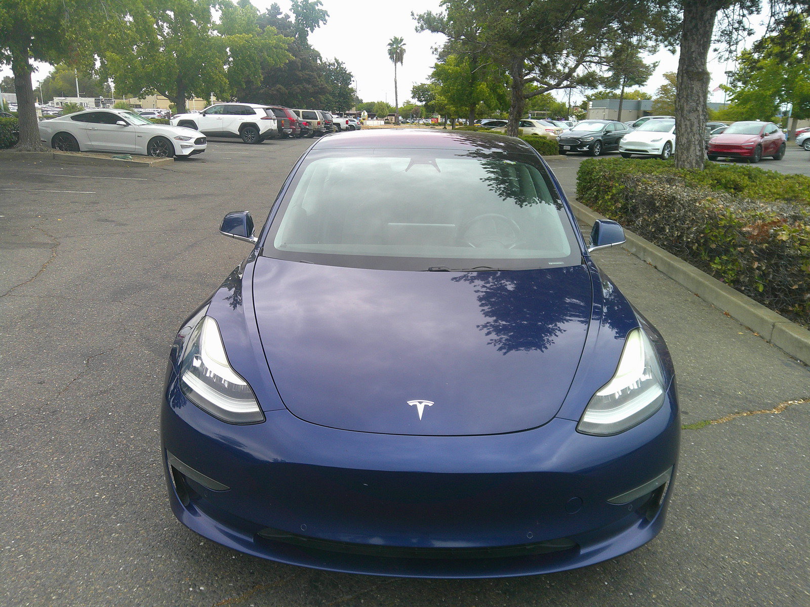 Used 2018 Tesla Model 3 Long Range RWD image 2