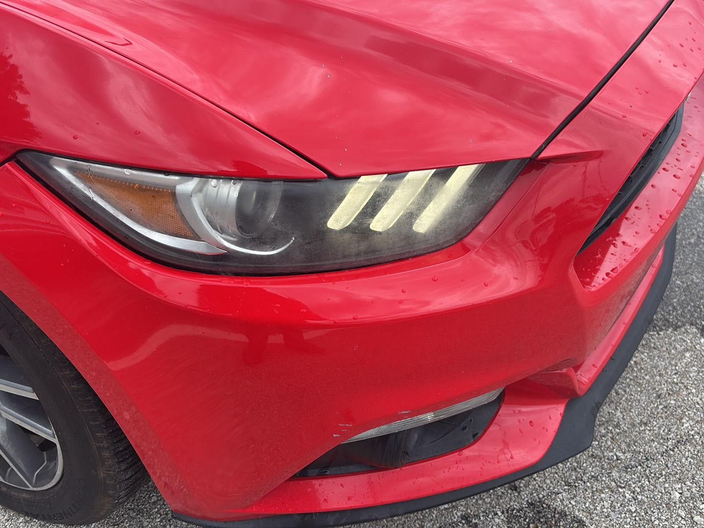 Used 2016 Ford Mustang Premium RWD image 24