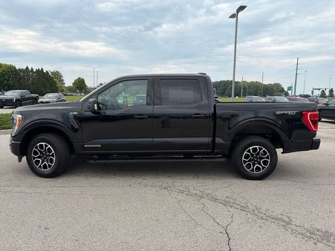 Used 2023 Ford F150 XLT w/ Equipment Group 302A High AWD/4WD image 4