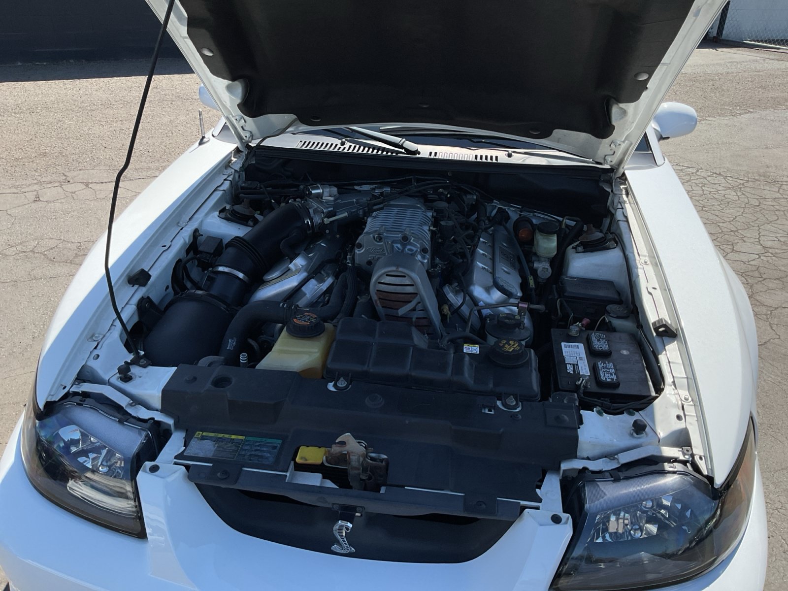 Used 2004 Ford Mustang Cobra RWD image 23