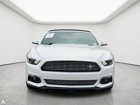 Used 2017 Ford Mustang Premium w/ Equipment Group 201A RWD image 9