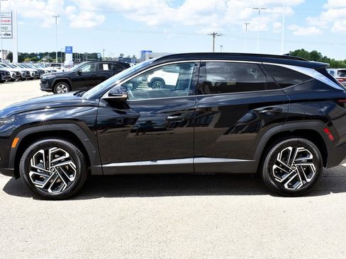 New 2025 Hyundai Tucson Limited image 6