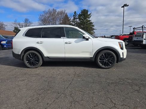 Used 2021 Kia Telluride SX w/ SX Prestige Package image 5