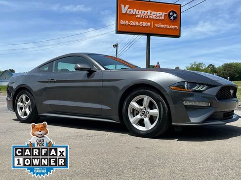 Used 2019 Ford Mustang Coupe RWD image 1