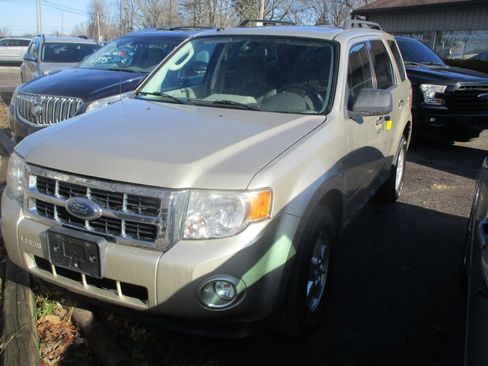 Used 2010 Ford Escape XLT image 3