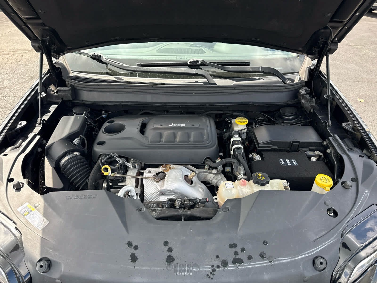 Used 2019 Jeep Cherokee Latitude Plus w/ Cold Weather Group AWD/4WD image 25