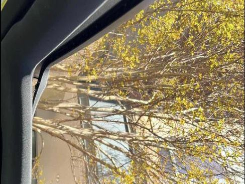 Used 2019 Volkswagen Beetle 2.0T SE FWD image 4