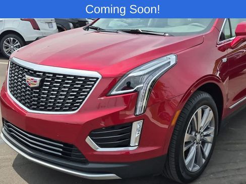 Used 2025 Cadillac XT5 Premium Luxury AWD/4WD image 10
