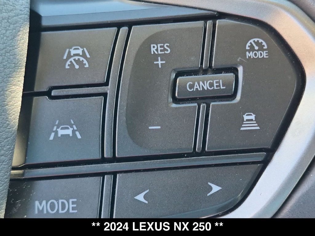 Used 2024 Lexus NX 250 AWD w/ Cold Area Package image 7