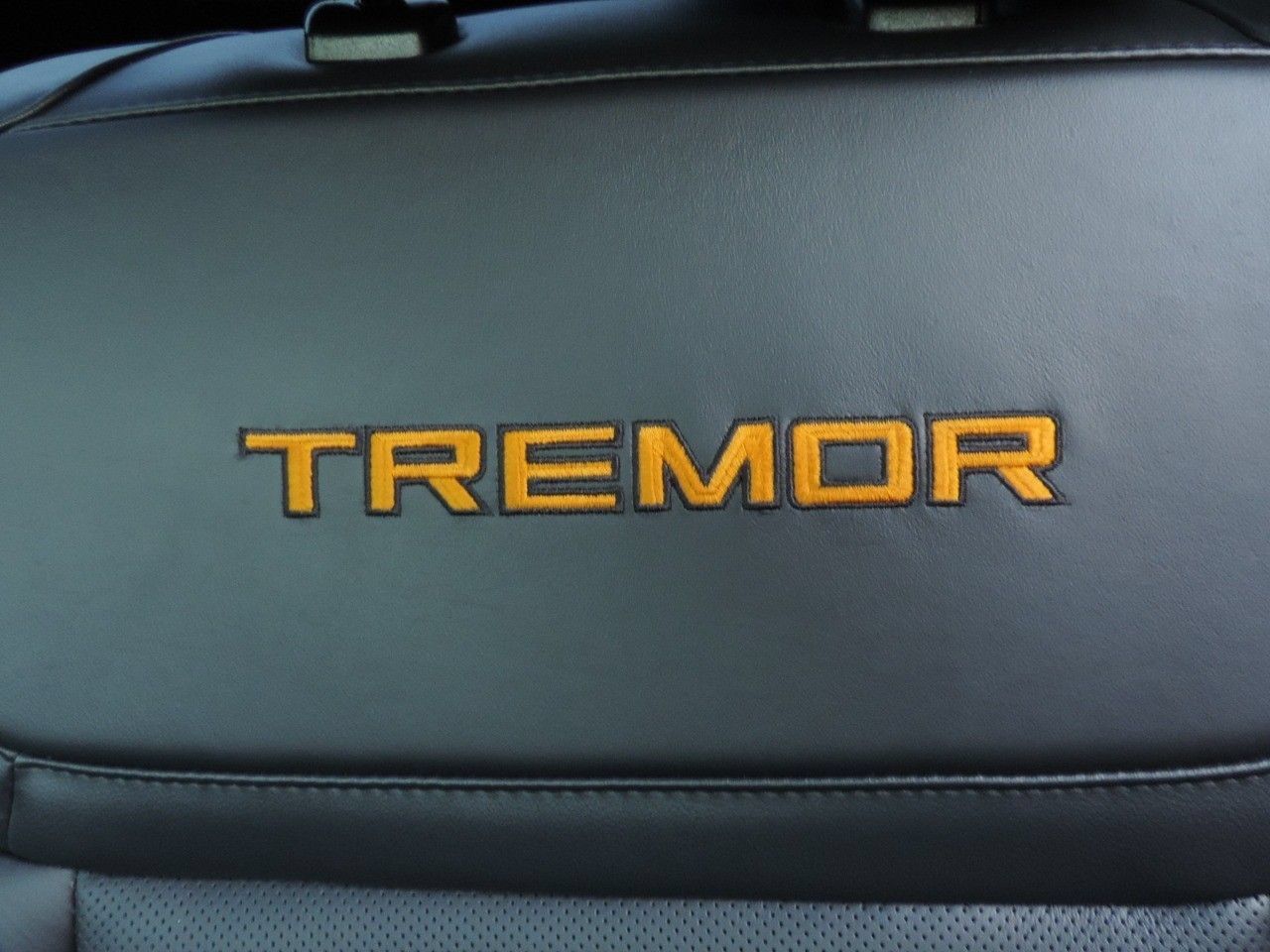 Used 2025 Ford Expedition Tremor AWD/4WD image 19