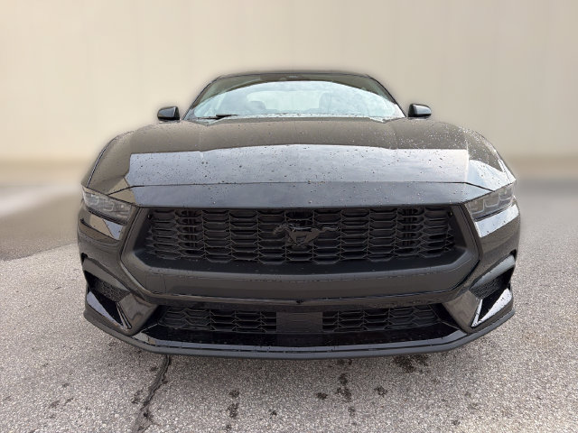 New 2026 Ford Mustang Coupe w/ Mustang Nite Pony Package RWD image 12