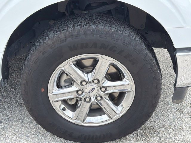 Used 2025 Ford F150 XLT w/ Equipment Group 301A Standard AWD/4WD image 10