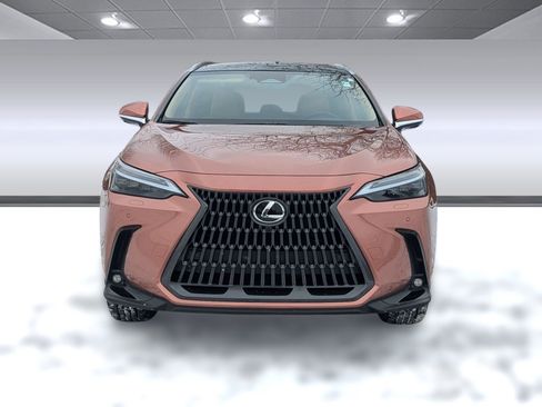 Used 2025 Lexus NX 300h AWD w/ Luxury Package image 6