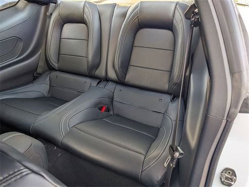 New 2026 Ford Mustang Premium w/ Mustang Nite Pony Package image 12