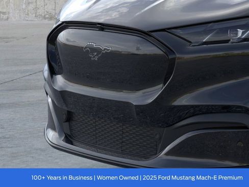 New 2025 Ford Mustang Mach-E Premium image 19