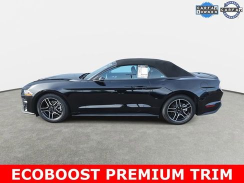 Used 2023 Ford Mustang Premium image 6