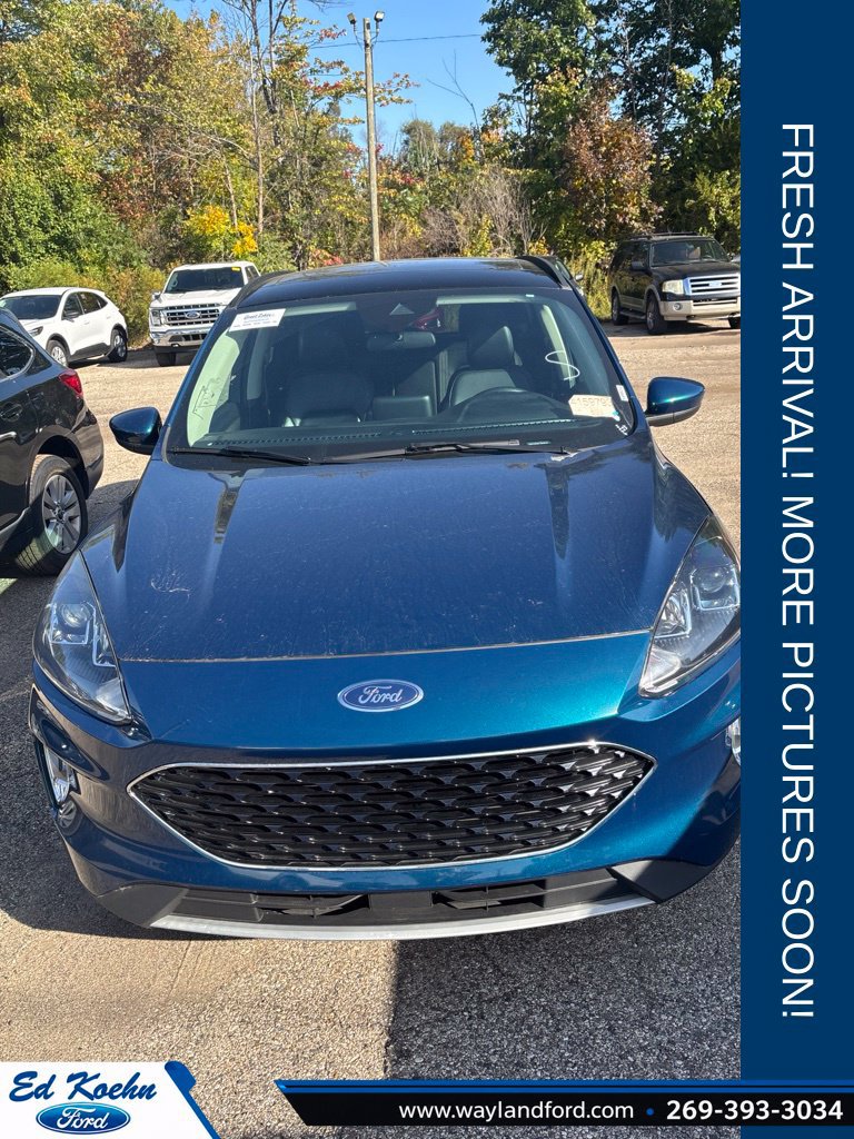 Used 2020 Ford Escape SEL FWD image 1
