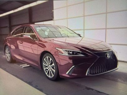 Used 2019 Lexus ES 350 w/ Premium Package