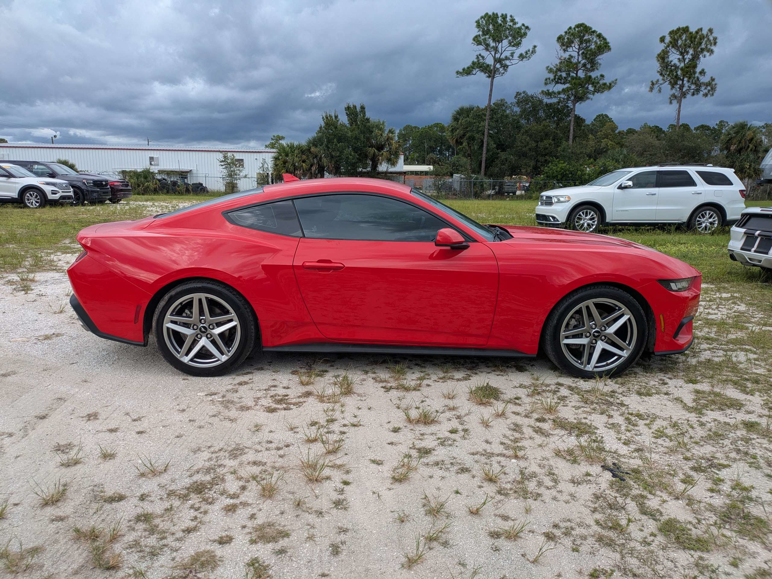 Used 2024 Ford Mustang Premium RWD image 3