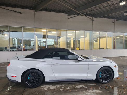 Used 2019 Ford Mustang Premium w/ Equipment Group 201A image 8