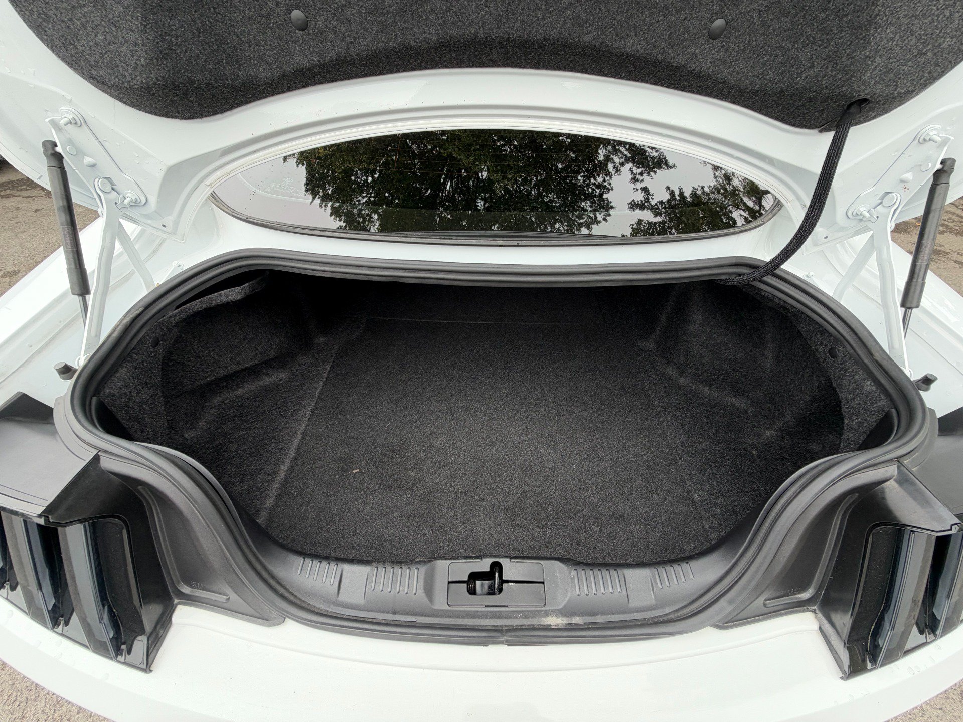 Used 2021 Ford Mustang Mach 1 RWD image 61