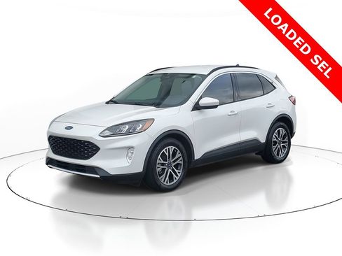 Used 2020 Ford Escape SEL FWD image 1