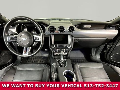 Used 2023 Ford Mustang GT Premium w/ Mustang Nite Pony Package RWD image 7