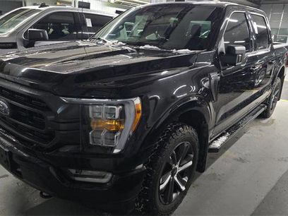 Used 2023 Ford F150 XLT w/ Equipment Group 302A High