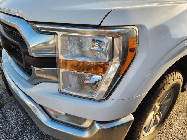 Used 2021 Ford F150 XLT w/ Equipment Group 301A Mid RWD image 6