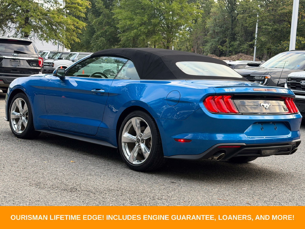 Used 2019 Ford Mustang Premium w/ Equipment Group 201A RWD image 6