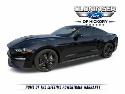Used 2023 Ford Mustang GT Premium w/ Mustang Nite Pony Package