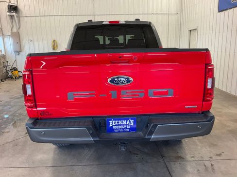 Used 2023 Ford F150 XLT w/ Equipment Group 302A High AWD/4WD image 4