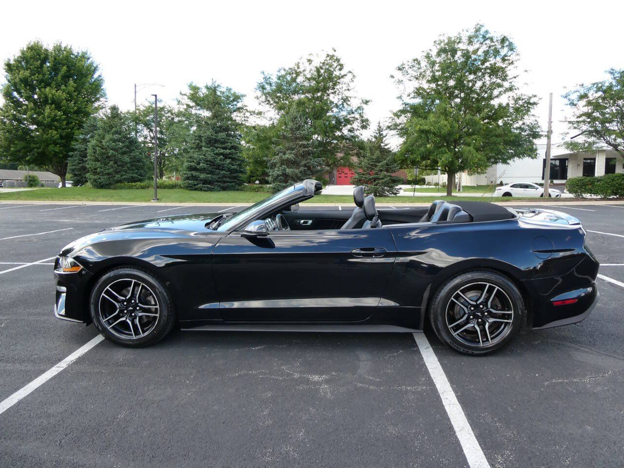 Used 2019 Ford Mustang Premium RWD image 15