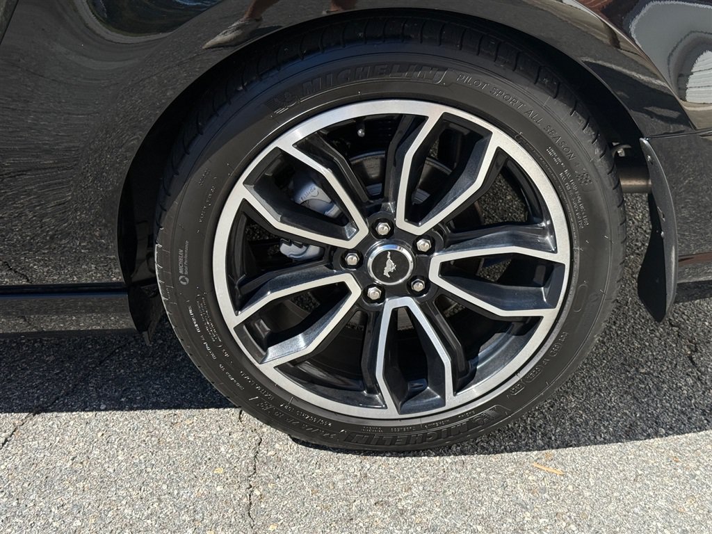 Used 2014 Ford Mustang GT w/ FP8 Appearance Package RWD image 16