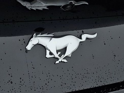 Used 2025 Ford Mustang Premium image 31