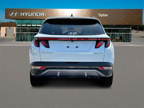 Used 2024 Hyundai Tucson Limited image 6