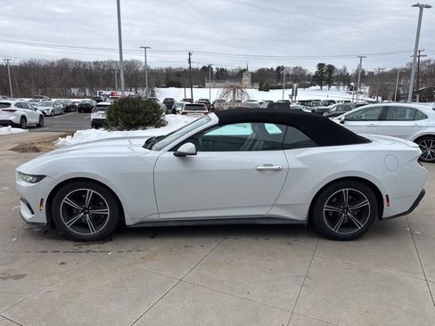 Used 2024 Ford Mustang Premium image 4