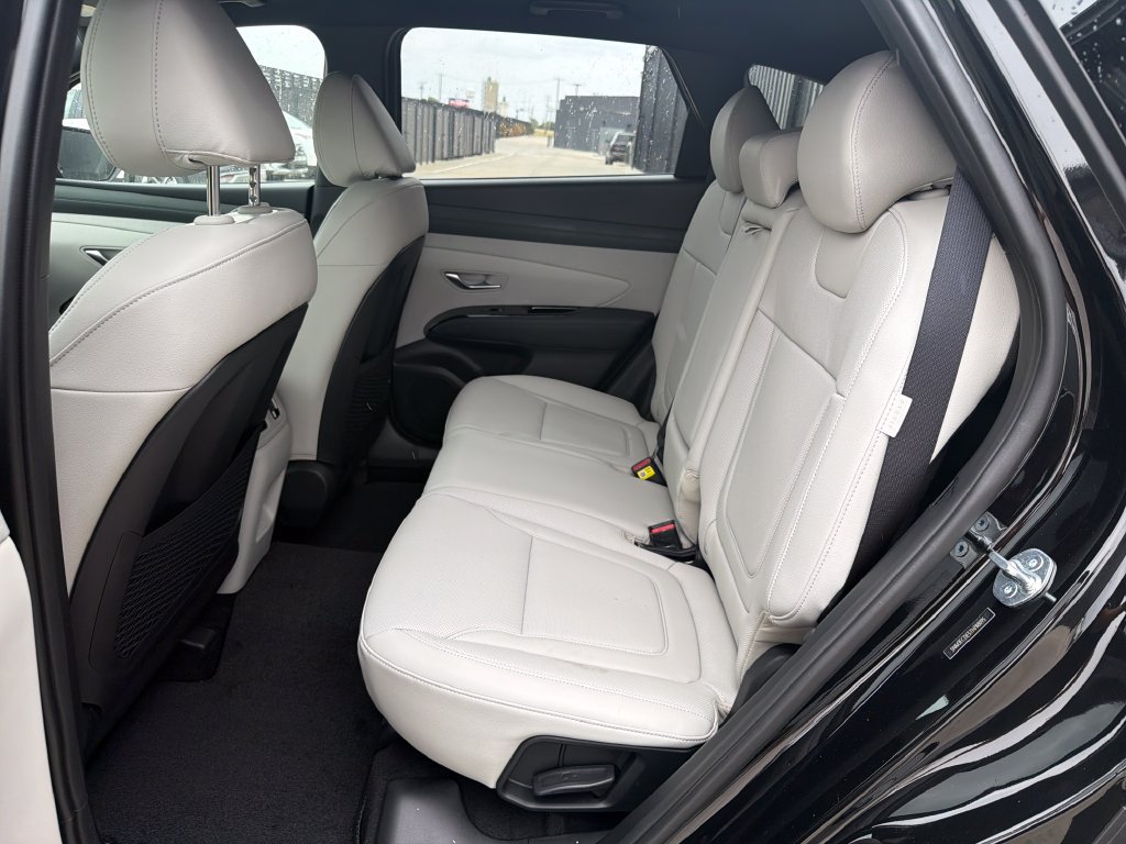 New 2026 Hyundai Tucson Limited AWD/4WD image 19