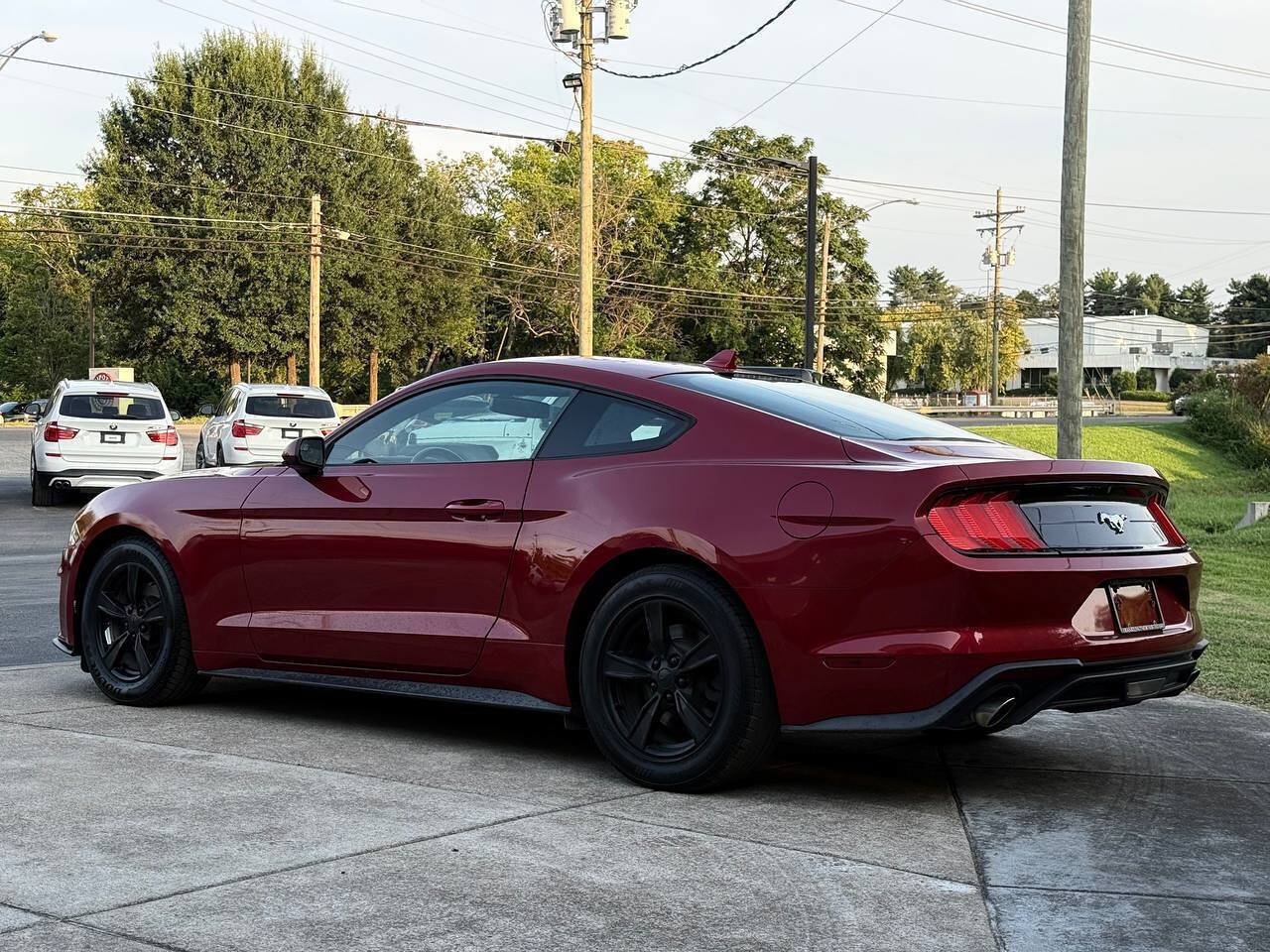 Used 2020 Ford Mustang Coupe RWD image 4