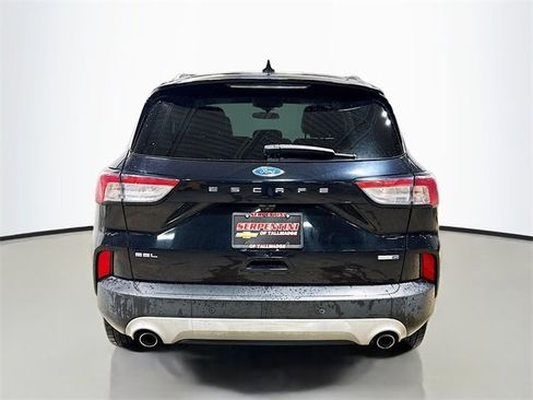 Used 2020 Ford Escape SEL image 8