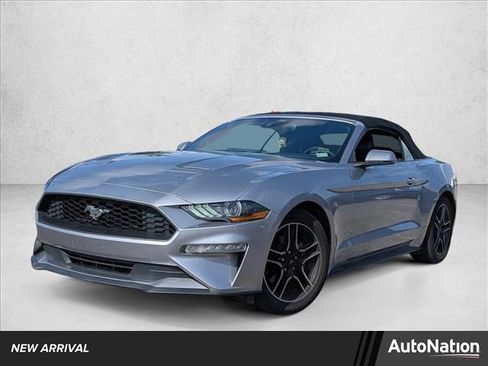 Used 2023 Ford Mustang Premium w/ Equipment Group 201A RWD image 1